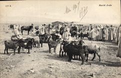 VINTAGE POSTCARD Chevre Goes Arab