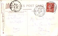 VINTAGE POSTCARD Fantasy Illustrator Amateur gardening