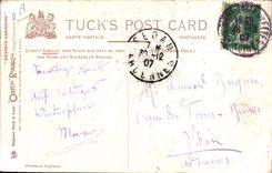 CPA Fantaisie Illustrateur Amateur gardening 