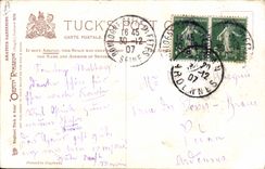 CPA Fantaisie Illustrateur Amateur gardening 