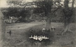 CPA Folklore La vie aux champs La gardeuse d'oies