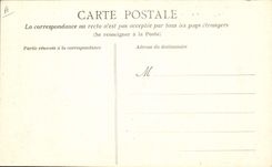 CPA Folklore La vie aux champs La gardeuse d'oies