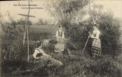 CPA Folklore La vie aux champs Les bruleuses d'herbes 