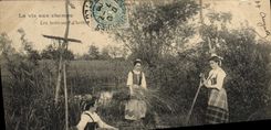 CPA Folklore La vie aux champs Les bruleuses d'herbes 