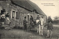 CPA Folklore La vie aux champs Les dames du chateau Cheval