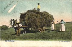 VINTAGE POSTCARD Folklore the harvest Horse Coach