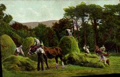 CPA Folklore La fenaison Cheval 