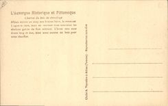 VINTAGE POSTCARD Folklore Auvergne Charrot of the firewood