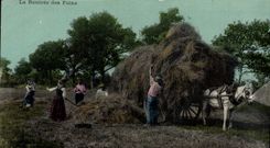 CPA Folklore La rentree des foins Cheval