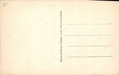 VINTAGE POSTCARD Folklore the plowman Ox