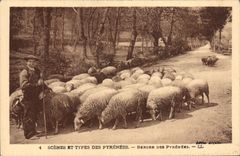 CPA Folklore Pyrenees Berger Moutons