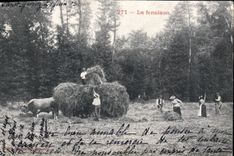 CPA Folklore La fenaison Boeufs 