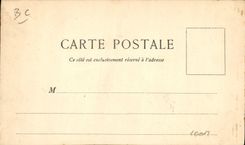 CARTE PHOTO Vaches Boeufs Train