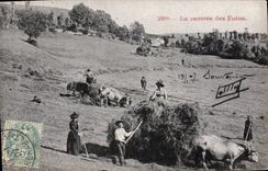 CPA Folklore la rentree des foins