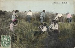 CPA Folklore La moisson