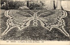 CPA Papillon Rouen Le papillon du jardin des plantes