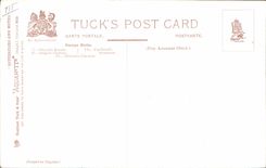 Las polillas extranjeras Diacrisia Sannio Euchromia Sangala Gloriosa Siamensis Miniodes de la mariposa de la POSTAL de la VENDIMIA se descoloran