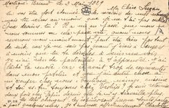 VINTAGE POSTCARD Fantasy Illustrator Child Cat Cats