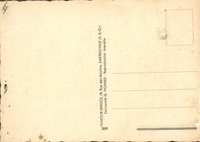 VINTAGE POSTCARD Humor Camp-site