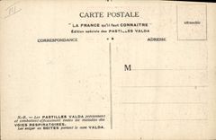 VINTAGE POSTCARD the Ardennes Wall