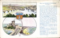 VINTAGE POSTCARD the Low Pyrenees Pau Lion