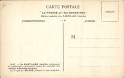 VINTAGE POSTCARD the Low Pyrenees Pau Lion
