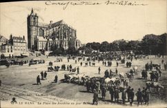 CPA Le Mans La place des Jacobins un jour de marche Vaches 