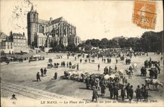 CPA Le Mans La place des Jacobins un jour de marche Vaches 