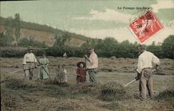 CPA Folklore Le fanage des foins