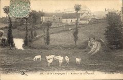 VINTAGE POSTCARD Folklore Around the firm Cows
