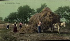 CPA Folklore La rentree des foins 