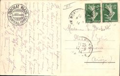 VINTAGE POSTCARD Folklore Woman and her hens