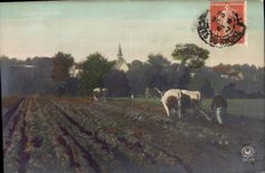 VINTAGE POSTCARD Folklore Ploughing Coach Oxen