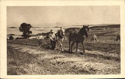 CPA Folklore Labour Chevaux