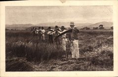 VINTAGE POSTCARD Folklore Mowing