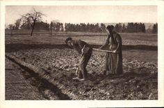 CPA Folklore Paysans Cultures