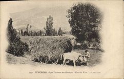 VINTAGE POSTCARD Pyrenees Folklore agricultural work Tank of hay