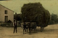 CPA Folklore Attelage La rentree des foins