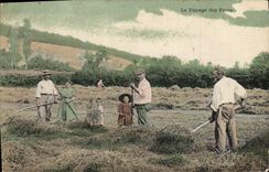 CPA Folklore La rentree des foins 
