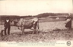 VINTAGE POSTCARD Folklore pastoral work the woman plowman