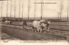 VINTAGE POSTCARD Folklore Agricultural work tilling Oxen Countryside bourbonnaise