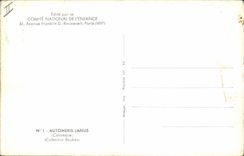 VINTAGE POSTCARD Fantasy Butterfly Automeris Janus Colombia Boubee Collection