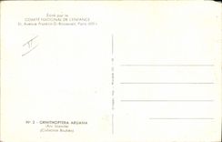 CPA Fantaisie Papillon Ornithoptera Aruana Aru Islande Collection Boubee