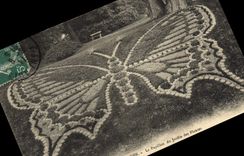 VINTAGE POSTCARD Fantasy Rouen Butterfly the butterfly of the botanical garden