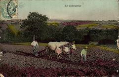 Folklore de la POSTAL de la VENDIMIA los bueyes del coche del plowman