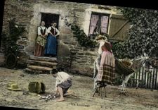 CPA Folklore Un accident Ane Mule