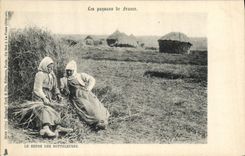 CPA Folklore Les paysans de France Le repos des botteleuses 