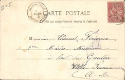 VINTAGE POSTCARD Fantaisie Woman Carries Vein Pig Pig