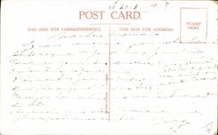 VINTAGE POSTCARD Fantasy Chick and Rintintin Rintintinette