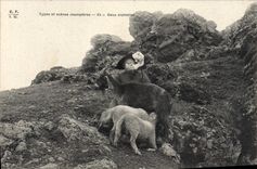 VINTAGE POSTCARD Goat Two orphans Lamb Folklore